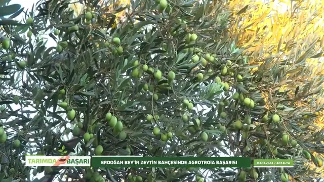 Tarımda Başarı