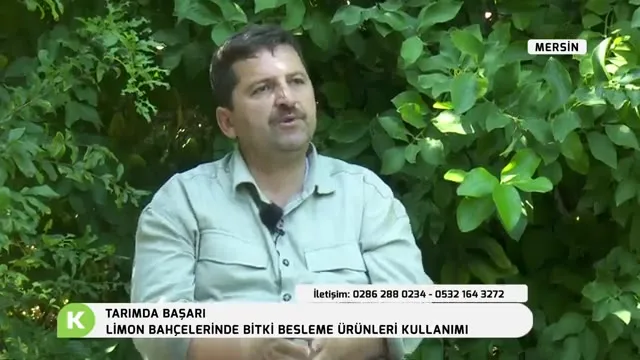 Tarımda Başarı - limon besleme