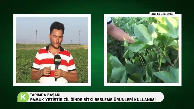 Tarımda Başarı - pamuk besleme