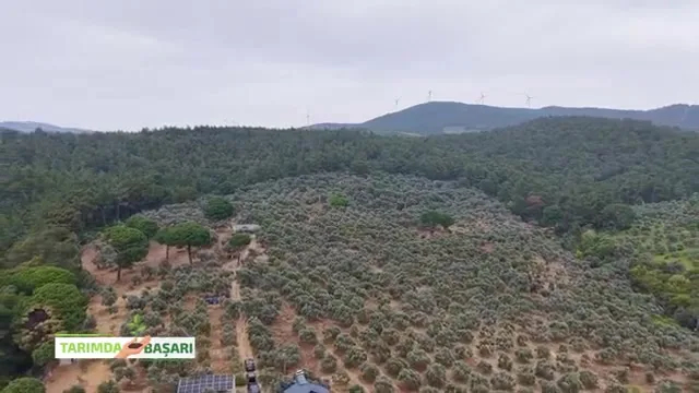 Tarımda Başarı