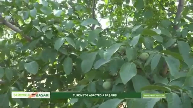 Tarımda Başarı