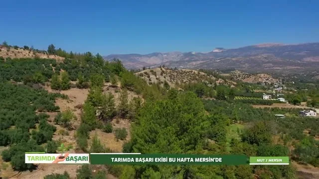 Tarımda Başarı