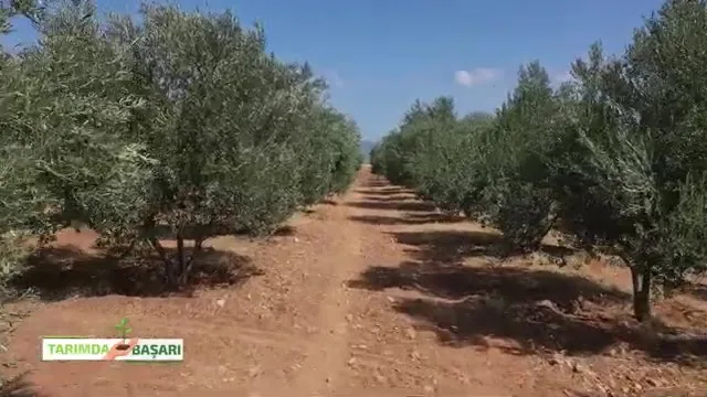 Tarımda Başarı