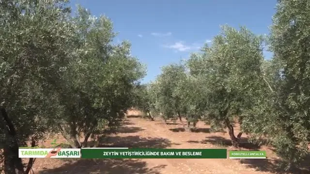 Tarımda Başarı