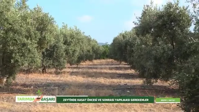 Tarımda Başarı