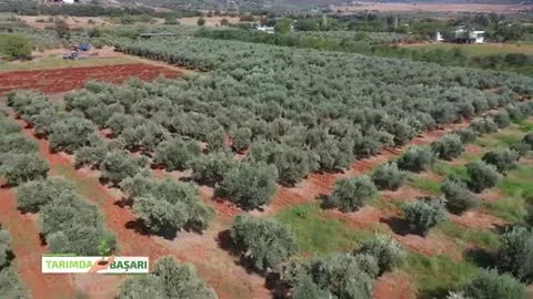 Tarımda Başarı