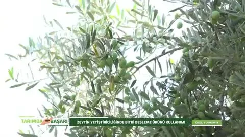 Tarımda Başarı