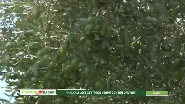 Tarımda Başarı