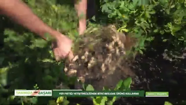 Tarımda Başarı