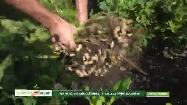 Tarımda Başarı