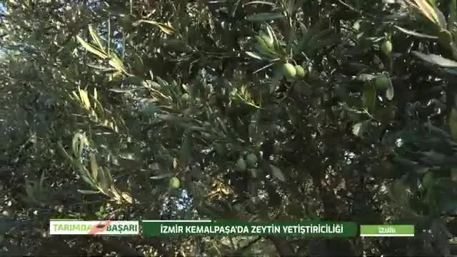 Tarımda Başarı