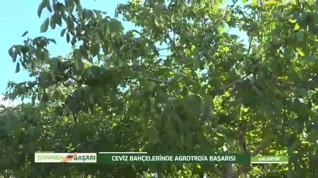 Tarımda Başarı