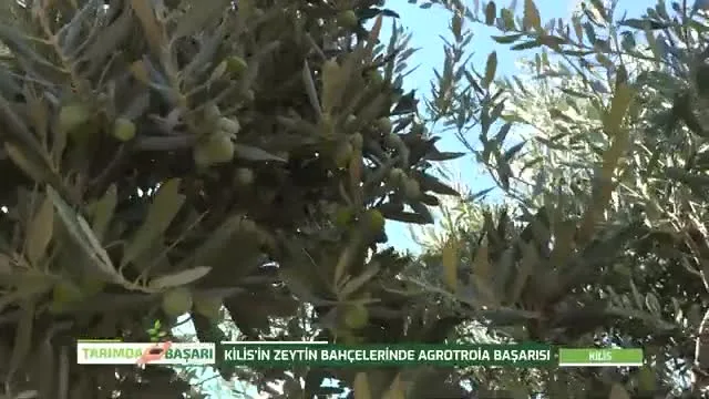 Tarımda Başarı