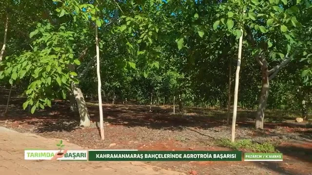 Tarımda Başarı