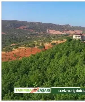 Tarımda Başarı