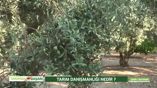 Tarımda Başarı