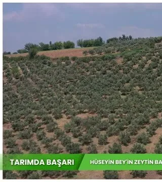 Tarımda Başarı