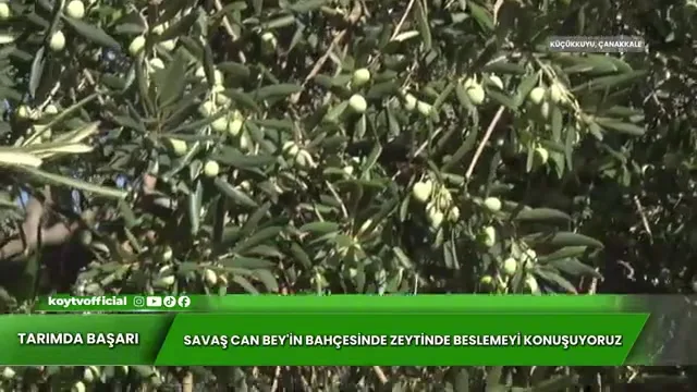 Tarımda Başarı
