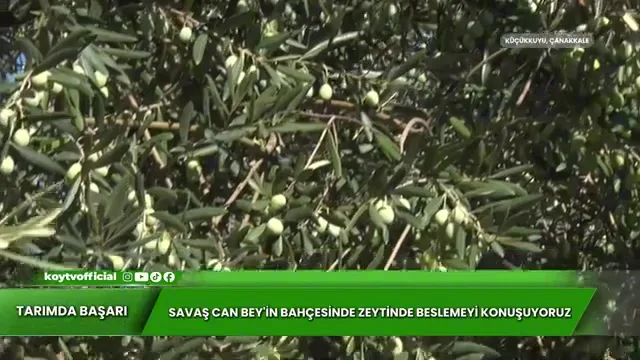 Tarımda Başarı