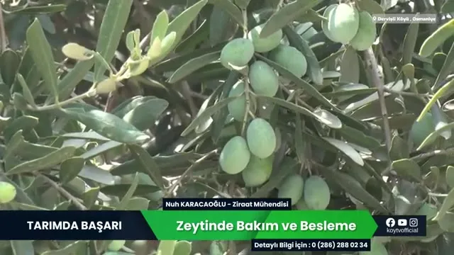 Tarımda Başarı