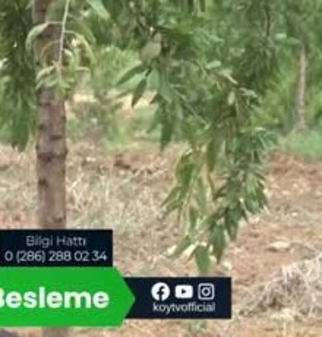 Tarımda Başarı