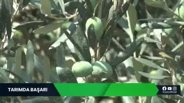 Tarımda Başarı