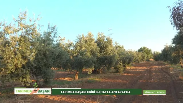 Tarımda Başarı
