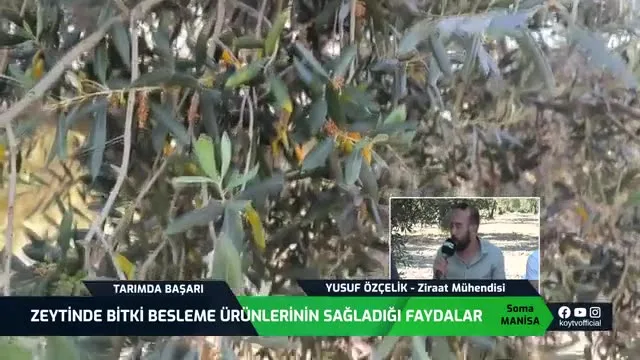 Tarımda Başarı