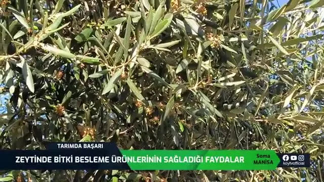Tarımda Başarı