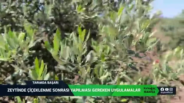 Tarımda Başarı