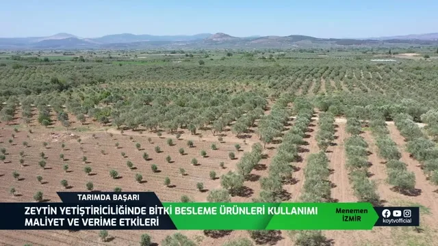 Tarımda Başarı