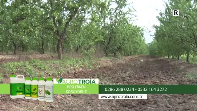 Tarımda Başarı