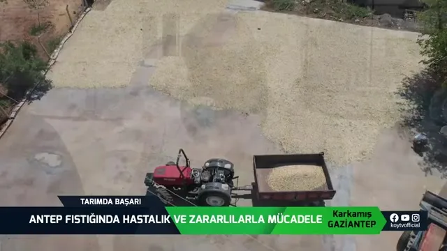 Tarımda Başarı