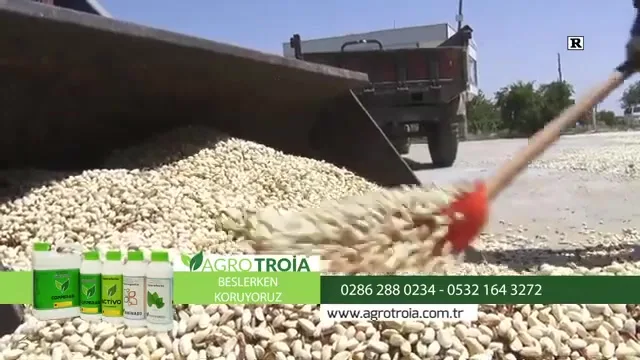 Tarımda Başarı