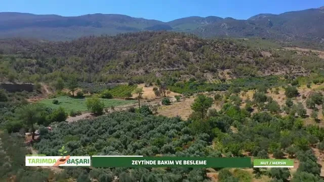 Tarımda Başarı