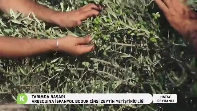 Tarımda Başarı