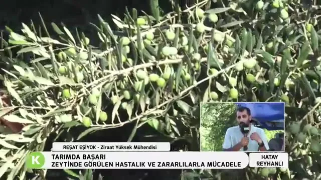 Tarımda Başarı