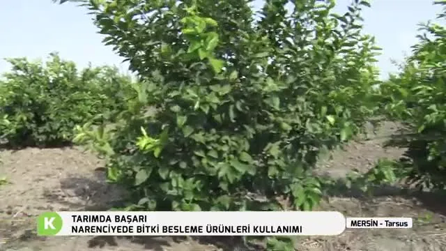 Tarımda Başarı
