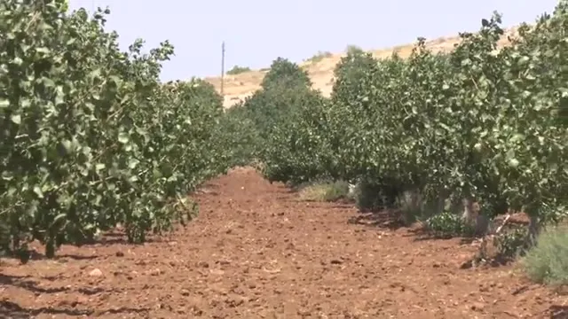 Tarımda Başarı