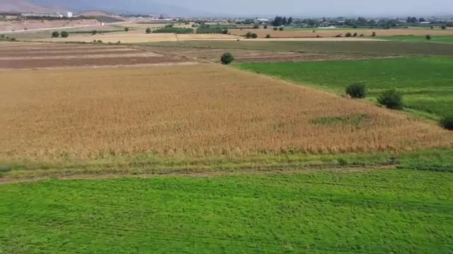 Tarımda Başarı