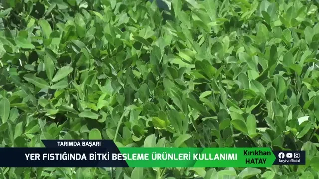 Tarımda Başarı