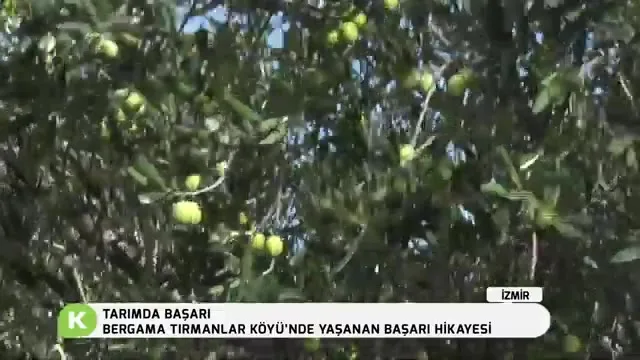 Tarımda Başarı