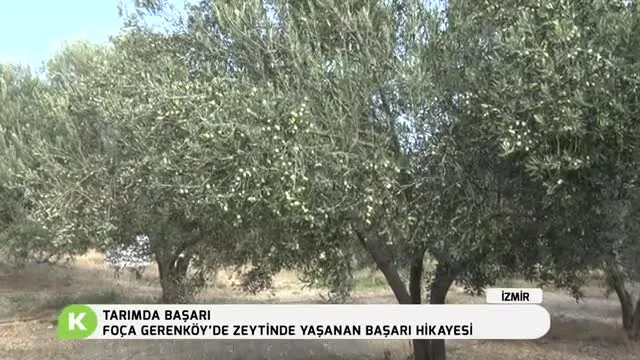 Tarımda Başarı