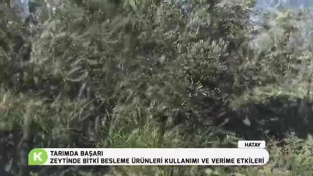 Tarımda Başarı
