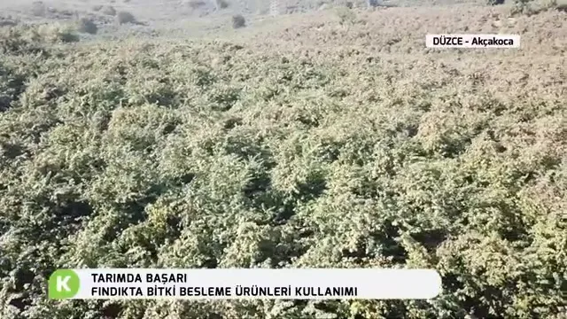 Tarımda Başarı