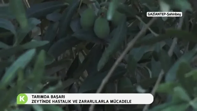 Tarımda Başarı