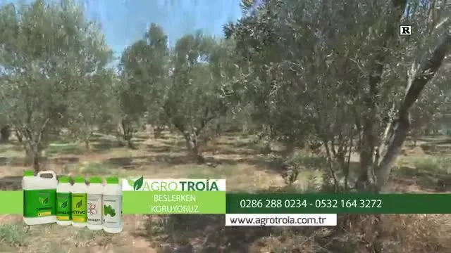 Tarımda Başarı