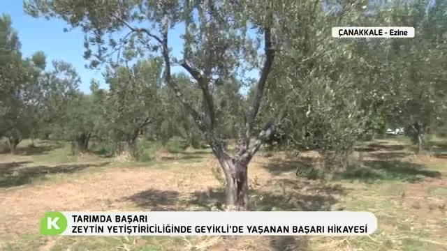 Tarımda Başarı