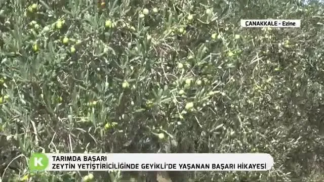 Tarımda Başarı