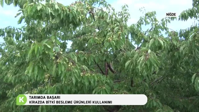 Tarımda Başarı